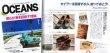 画像5: Dubarry|デュバリー　クリッパー　ネイビー/ブラウン【OCEANS掲載】 (5)